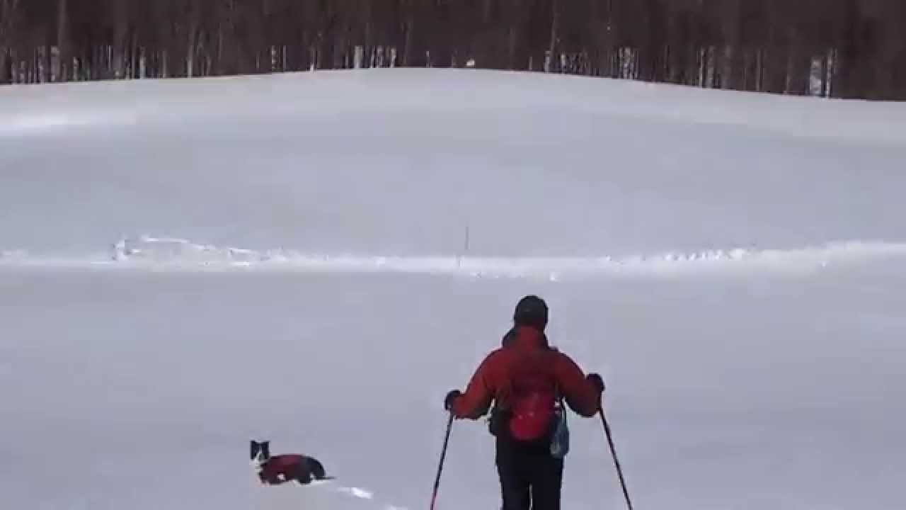 2015 2 21鬼怒川スノーシュー