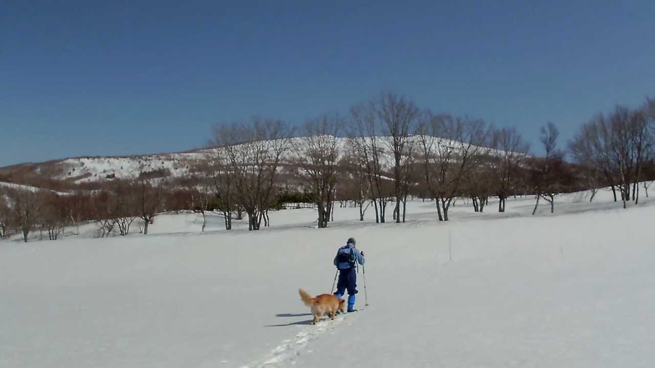 今年最後のスノーシュー