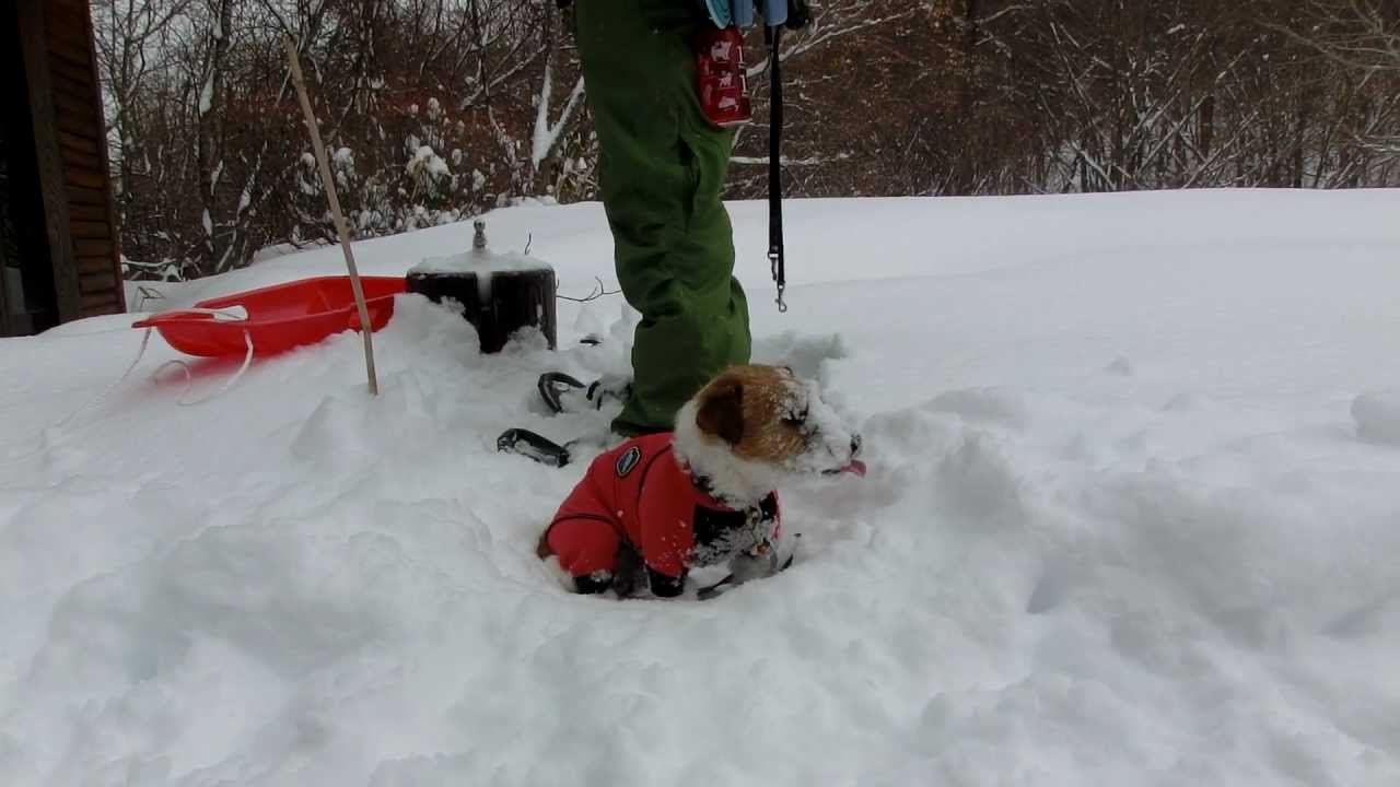 スノーシュー(4)