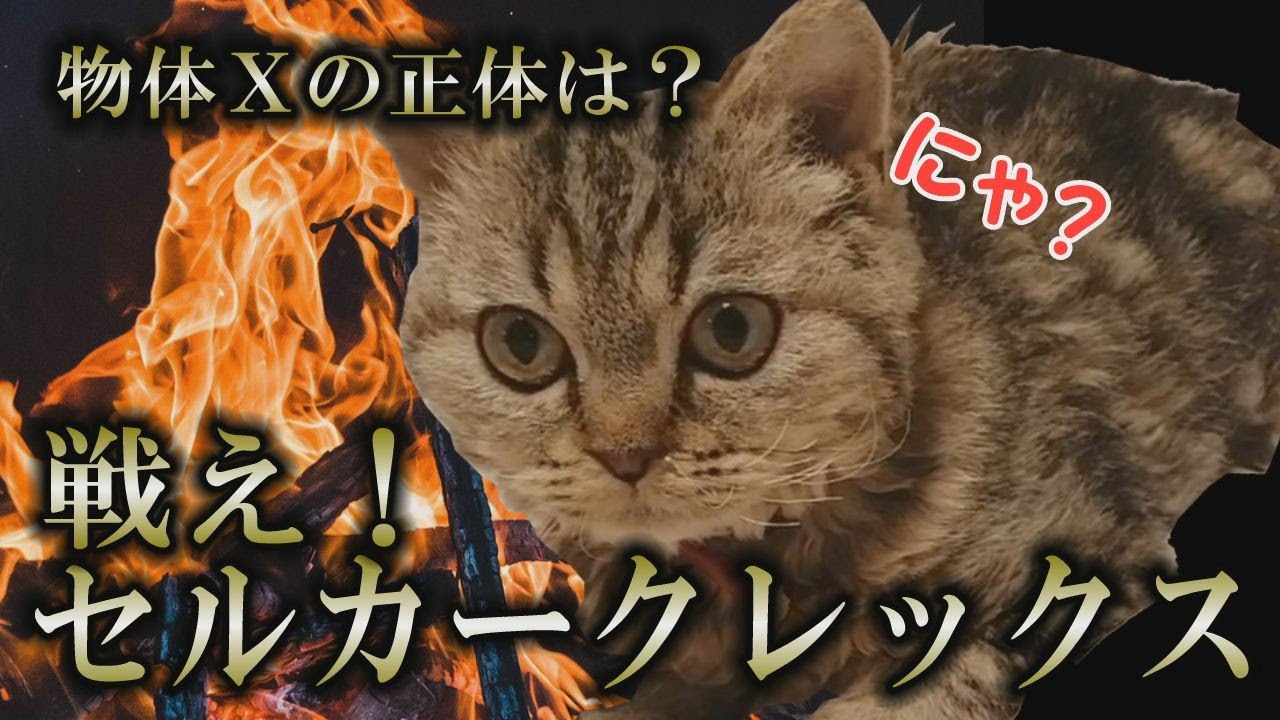 【セルカークレックス】正体不明のあいつとひたすら戦う！【セルカー女子】