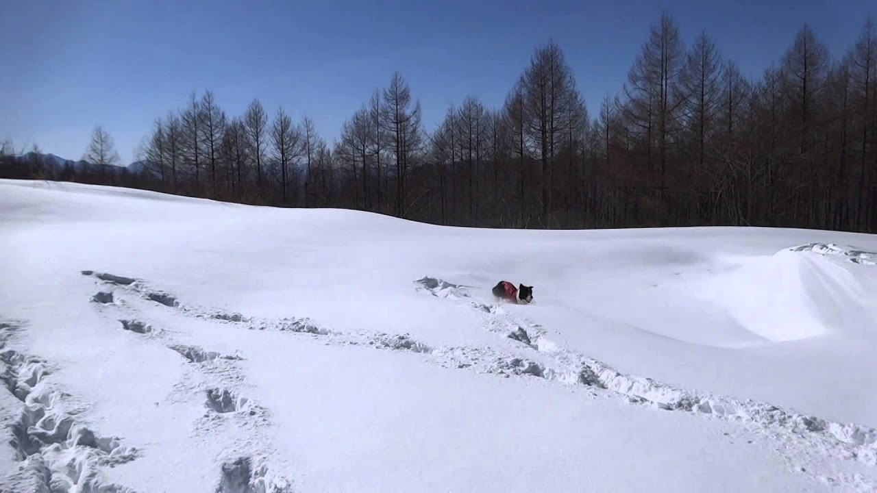 スノーシュー＠鬼怒川2