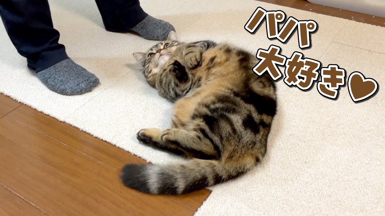 メルがまさかのパパ大好きっ子になってしまったようです…