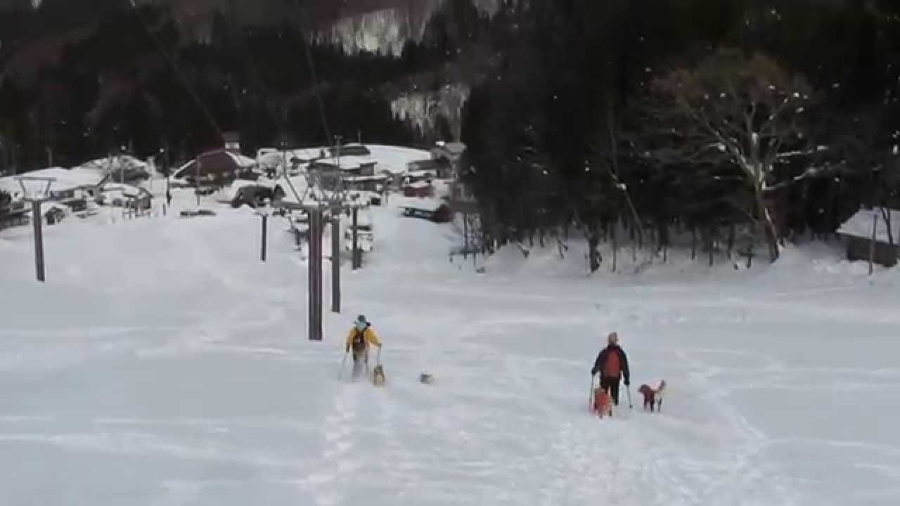 スノーシューで駆け降りる！