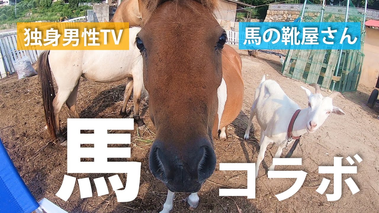 【コラボ】独男さんの牧場に馬の靴屋さんとお邪魔したよ！@独身男性TV-田舎で遊ぶ- @馬の靴屋さん Otake