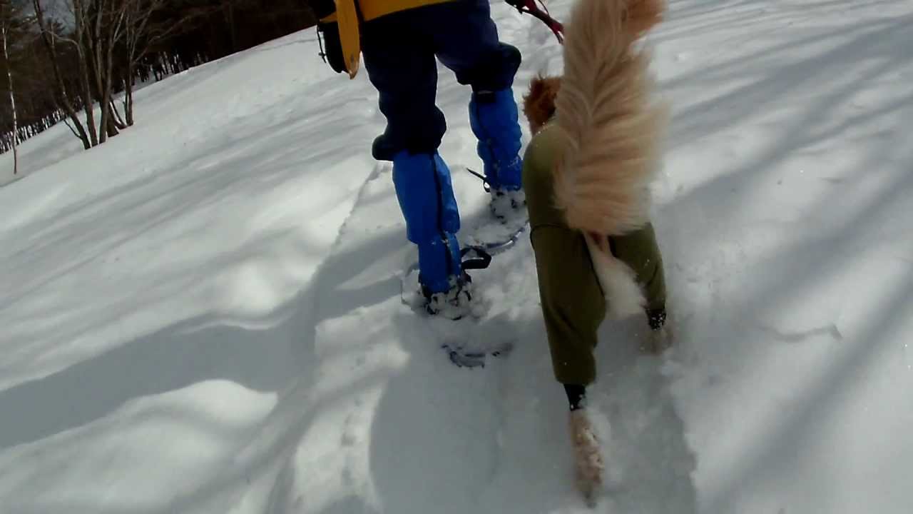 なんちゃってスノーシュー１