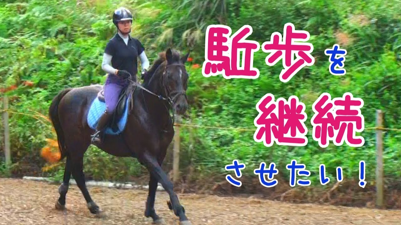 駈歩継続のコツを紹介！