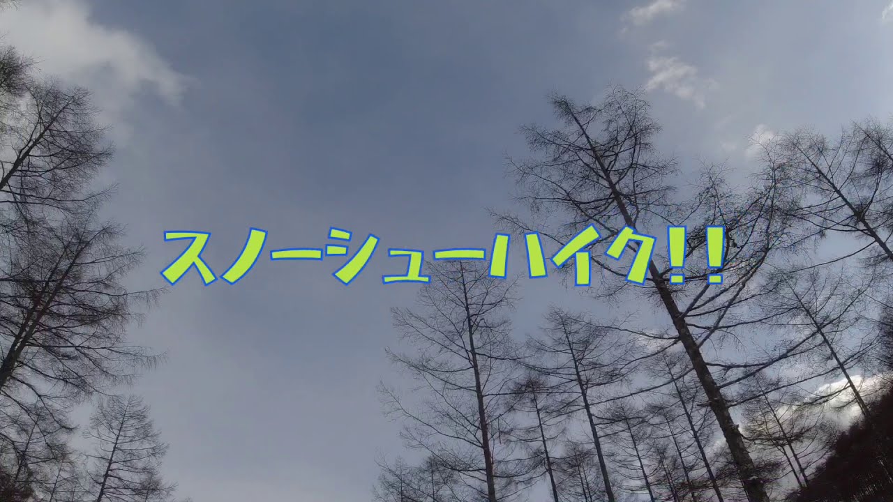 黒ラブLauleとスノーシューハイク！