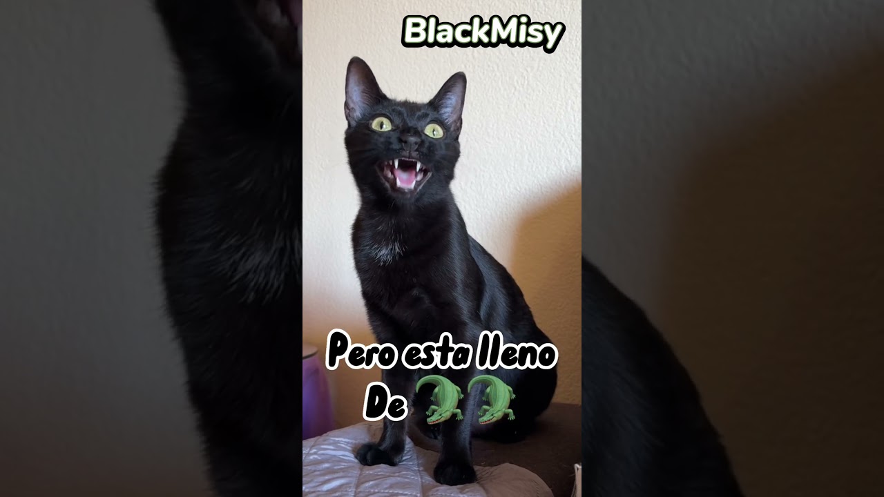 En un avión hay 100 ladrillos