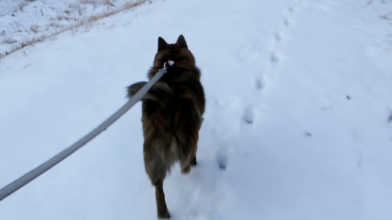 スノーシューなんていらない