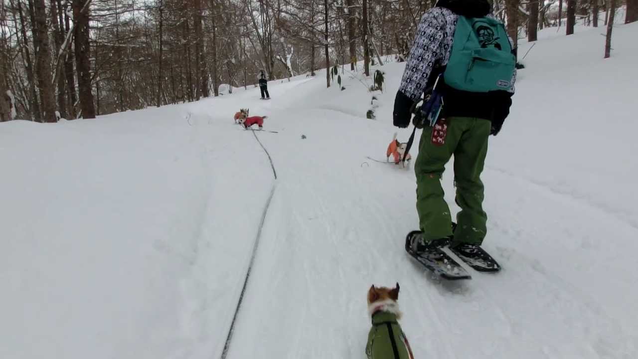 スノーシュー(3)