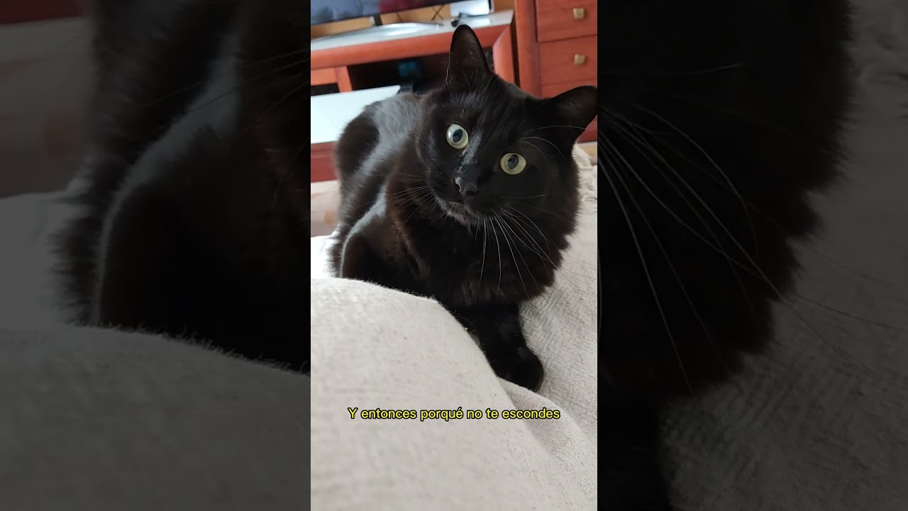 No me quieren dar chocolate