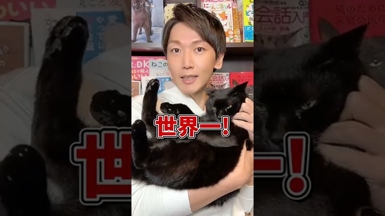 それ日本だけ？世界で違う猫の大好物５選