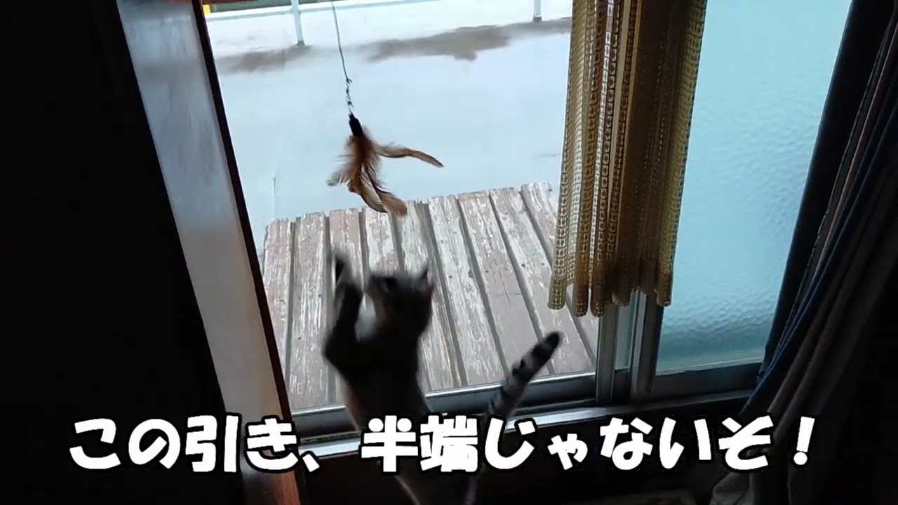 【エジプシャンマウはる】　釣りをしたけど何か違いました