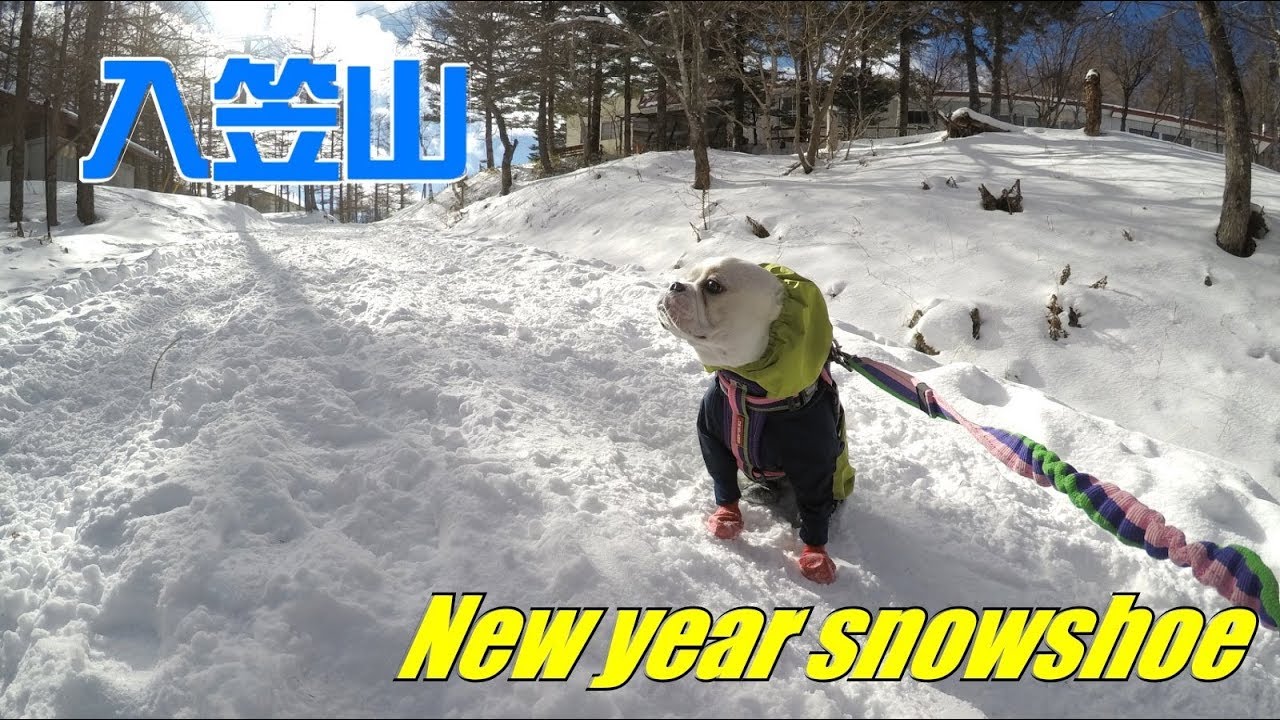 はなころ隊長と行くっ！スノーシューin入笠山。