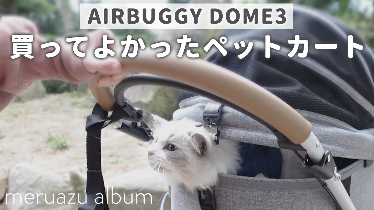 【AIRBUGGY DOME3】初めてペットカートに乗ってお散歩するラグドール