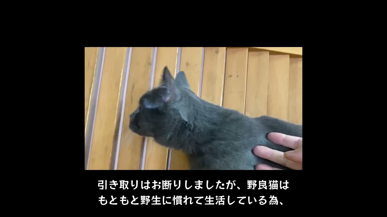 シャルトリュー