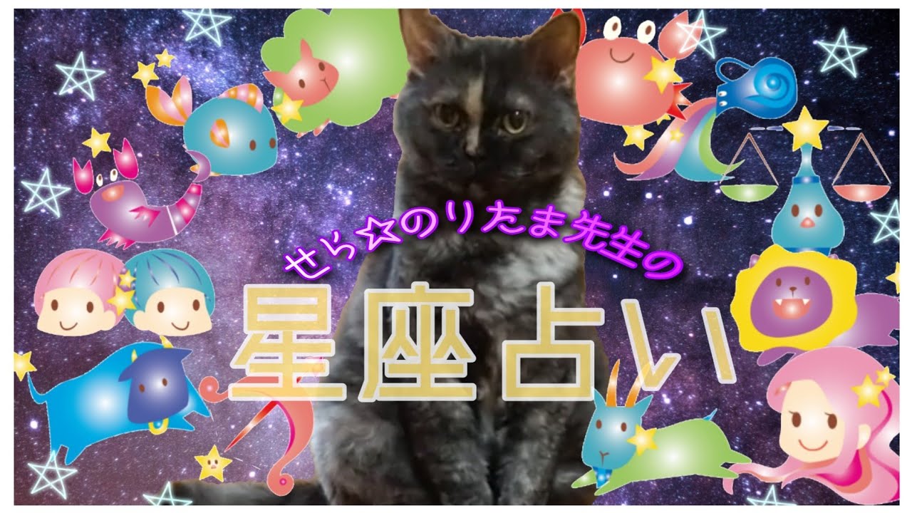 【セルカークレックス】せら先生の星座占い☆8月16日〜22日の運勢【せらのりたま】