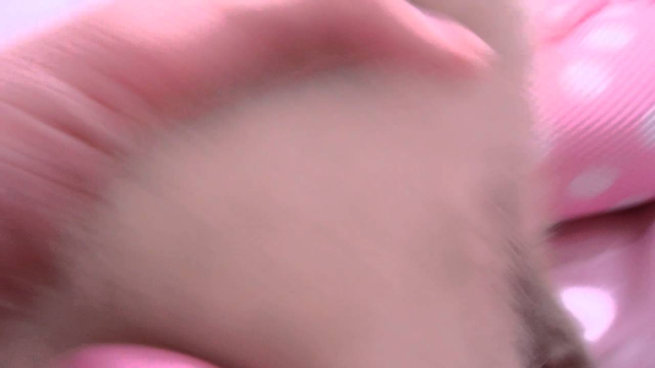 289233 トンキニーズ