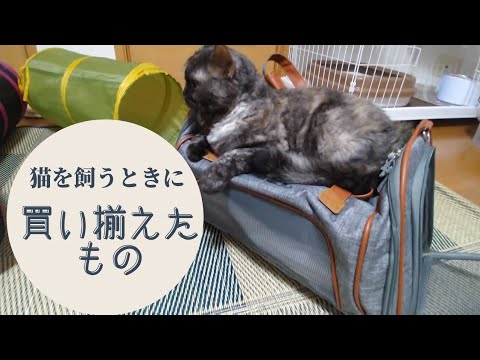 【セルカークレックス】猫を飼うときに絶対必要だった物とは？【せらのりたま】
