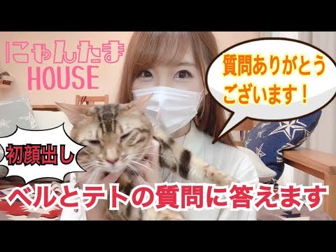 【質問コーナー】初顔出しでベンガル猫のベルとテトの質問にこたえます