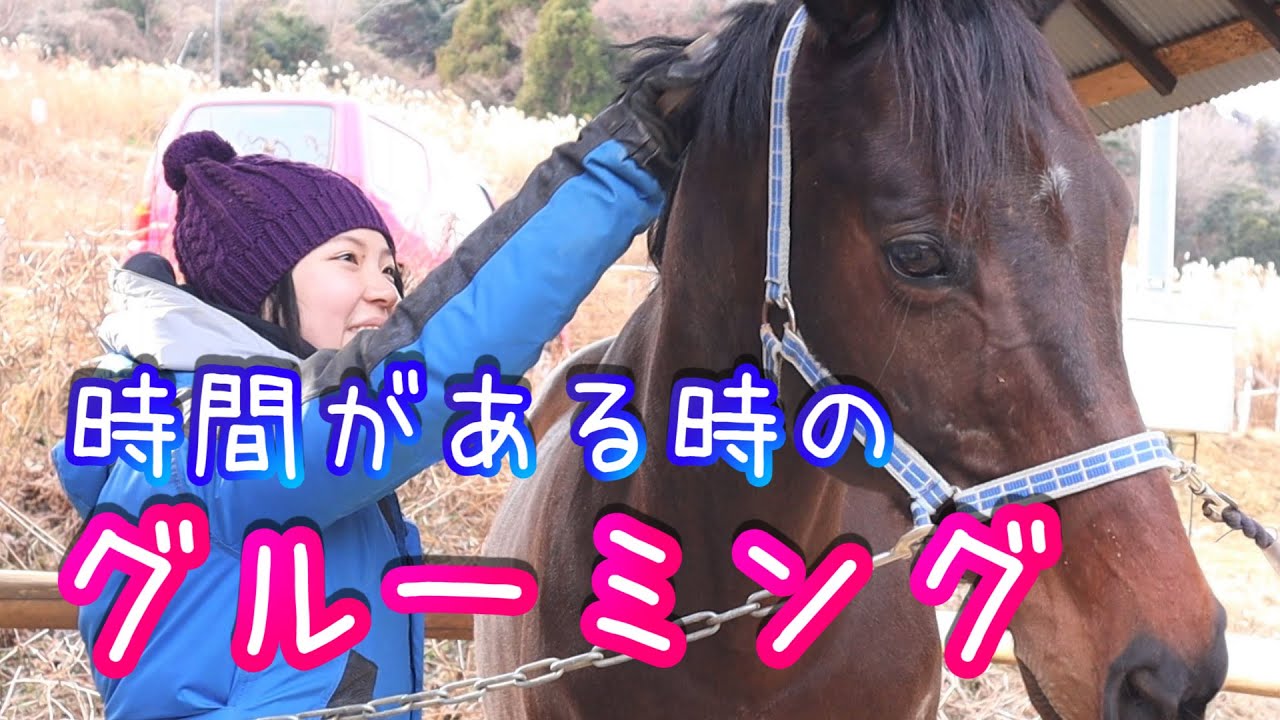 グルーミングするよ！/馬が喜ぶブラッシング方法とは？