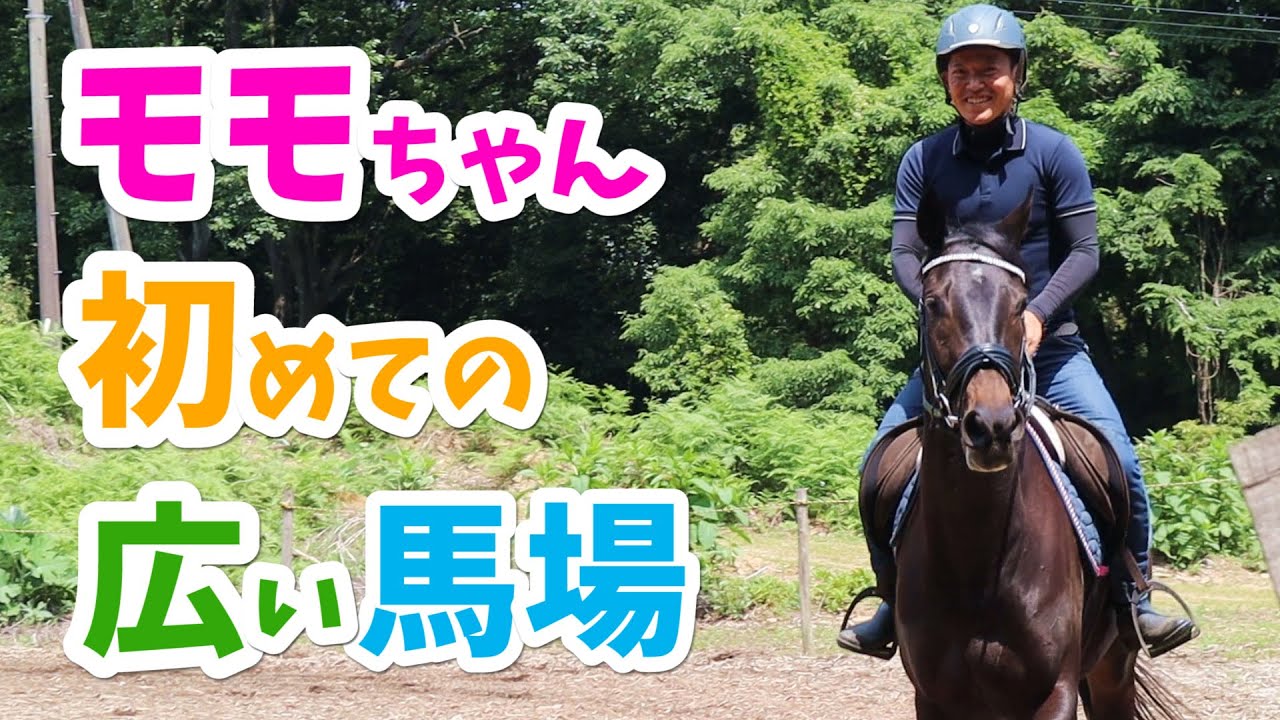 モモちゃんに広い馬場で乗る！横木通過もやってみた！