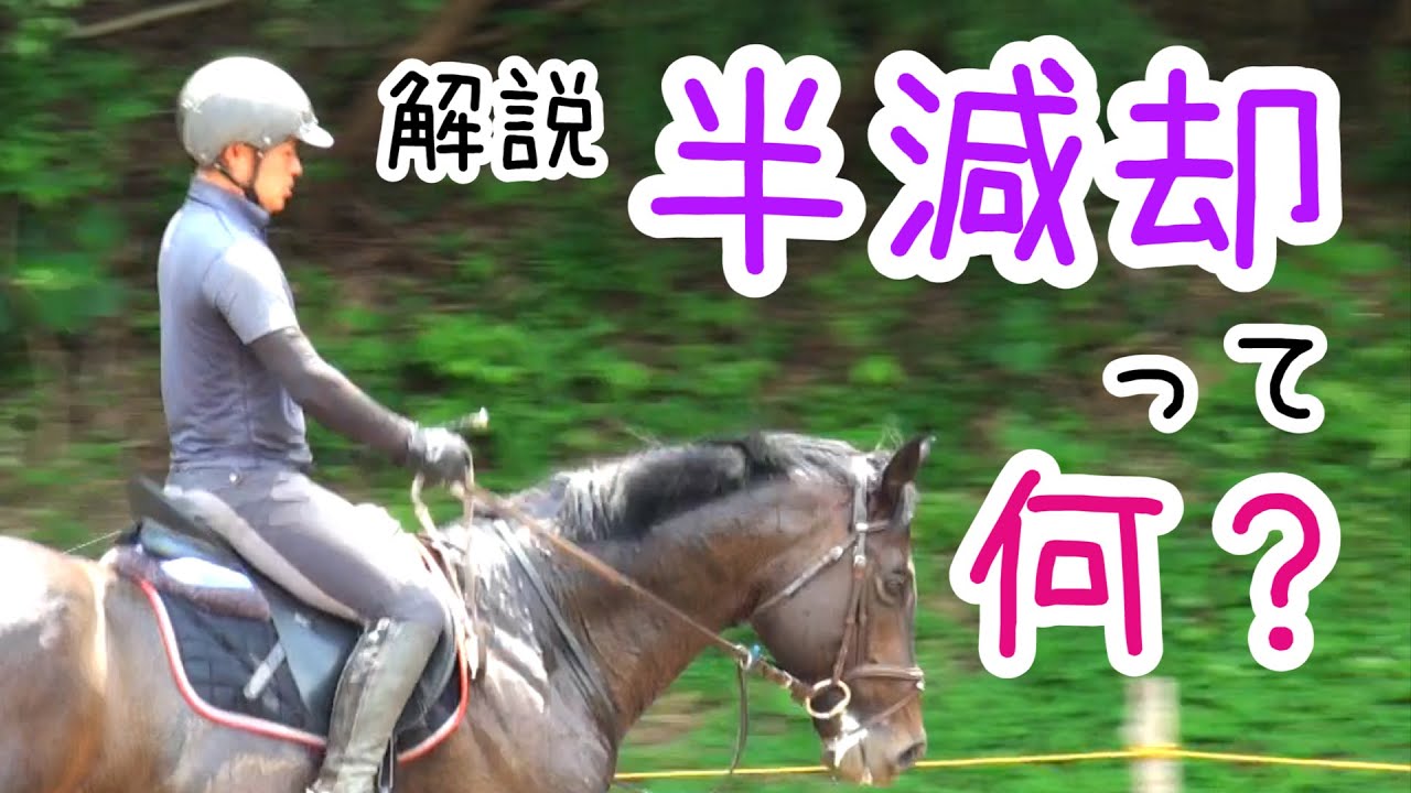 半減却って何だ？！解説と練習方法紹介！