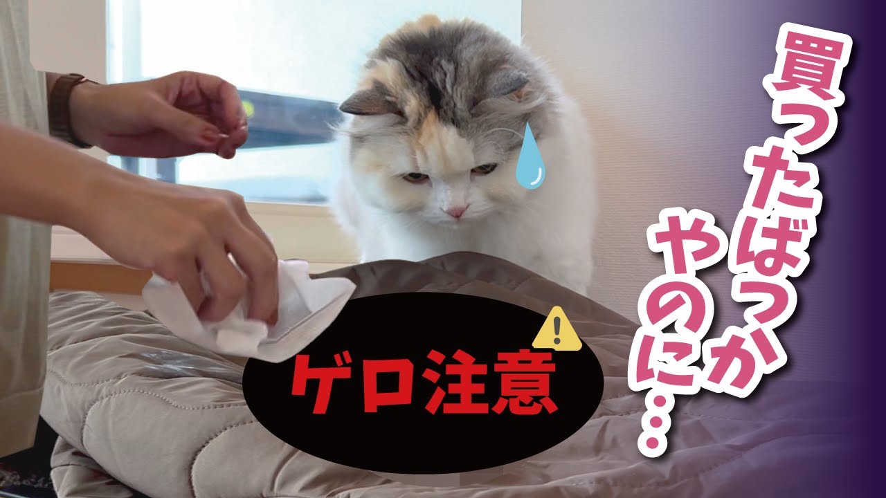 【悲報】新品のコートが秒でゲ○まみれになりました…【関西弁でしゃべる猫】
