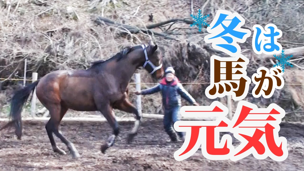 冬の騎乗中に気を付けること/冬対策