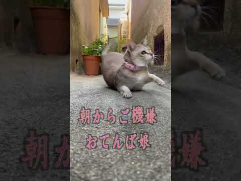 朝から元気なシンガプーラ兄妹♪