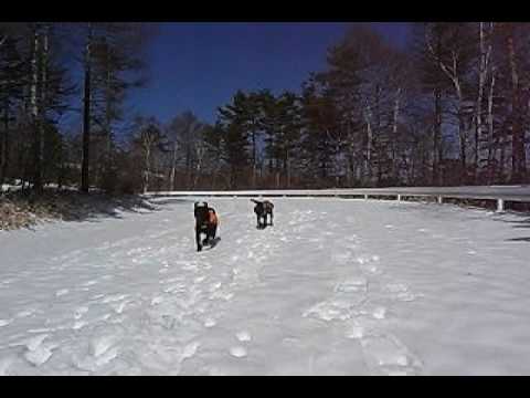 天女山で雪遊び＆スノーシュー