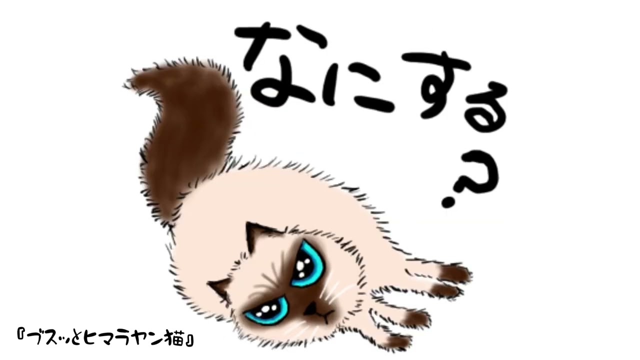 【イラスト】ブスッとヒマラヤン猫