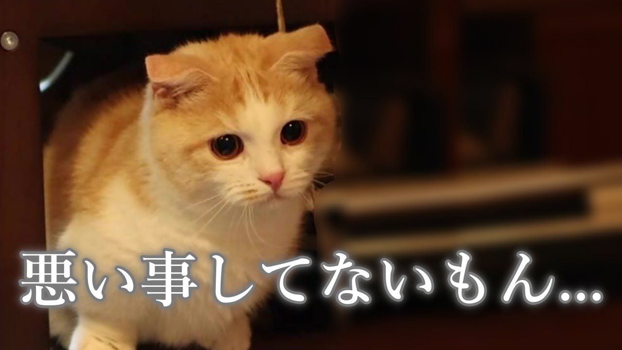 【#32 きよしの本気 】やらかして、一発レッドカードに...