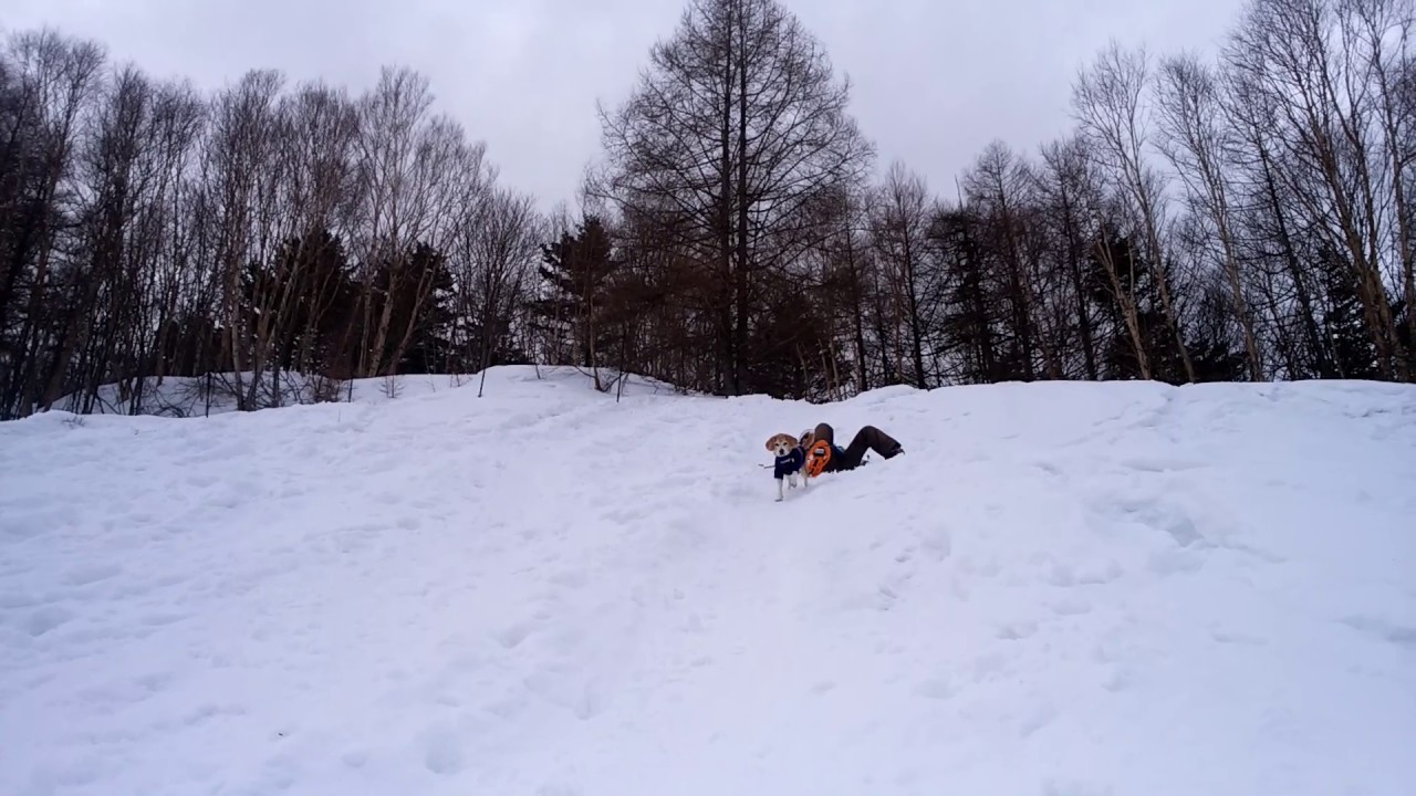 入笠山でスノーシュー