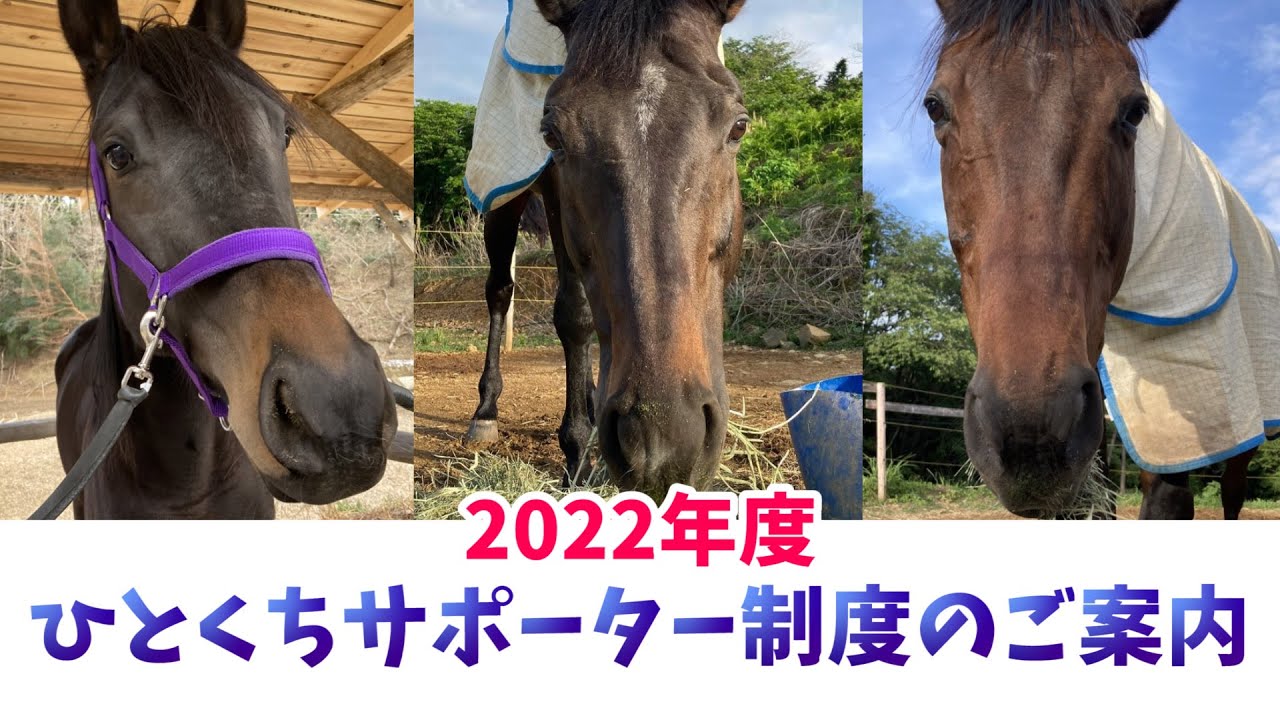 シャムロックひとくちサポーター制度のご案内【2022年度】