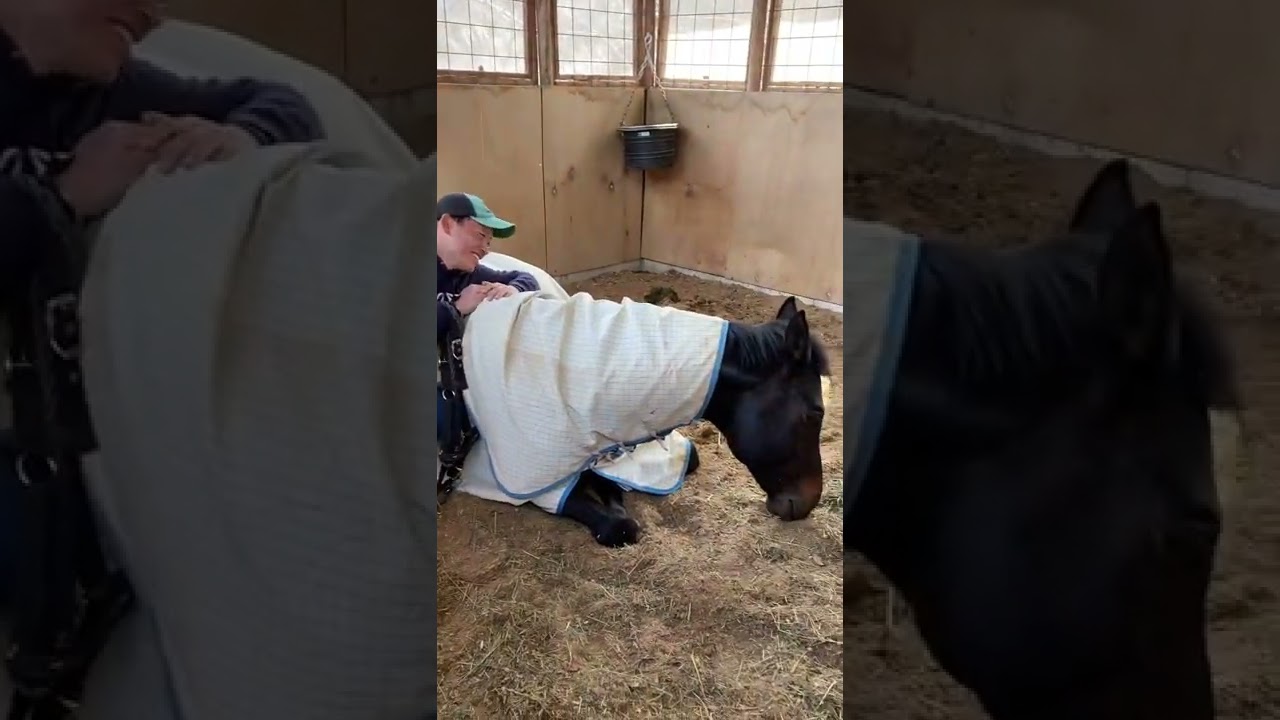 ダンちゃんお仕事ですよ！起きてー！👏