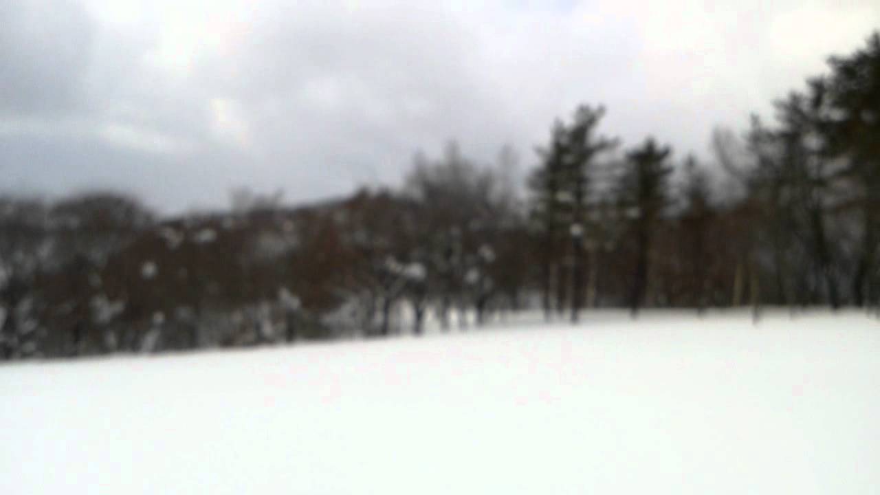 スノーシューでモエアイとアニマルトラッキング☆