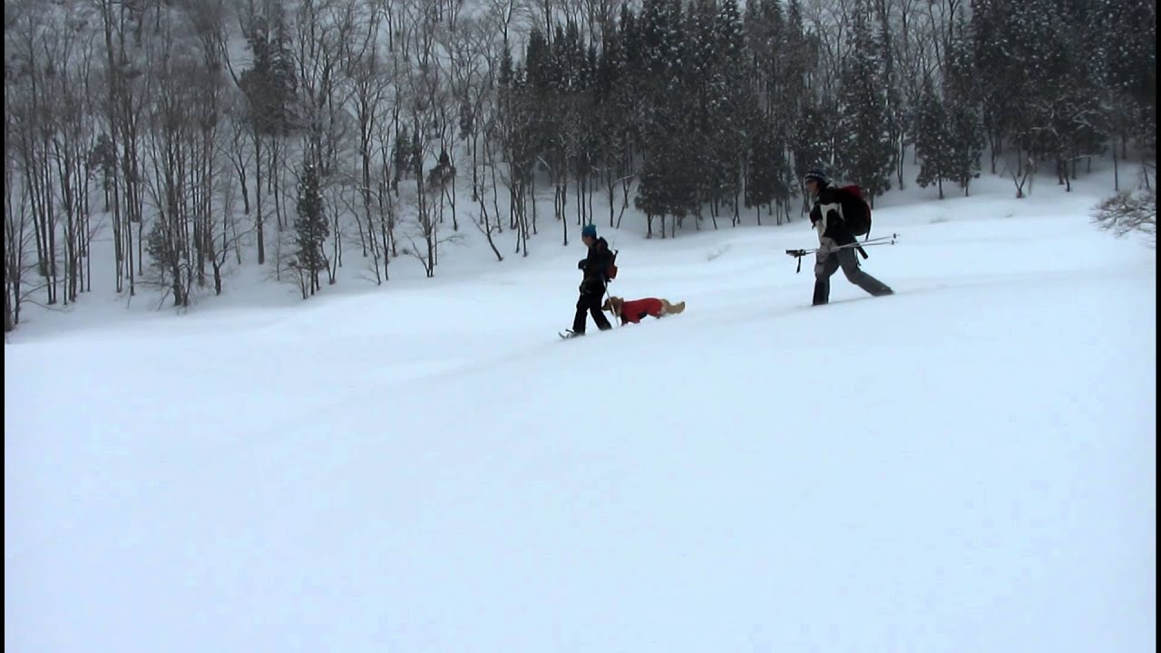 スノーシュー＠田んぼ雪原