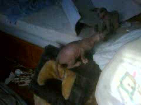 VID 00005 20090425 0852