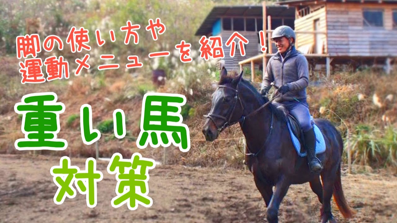 重い馬が動く？！｜重い馬対策！