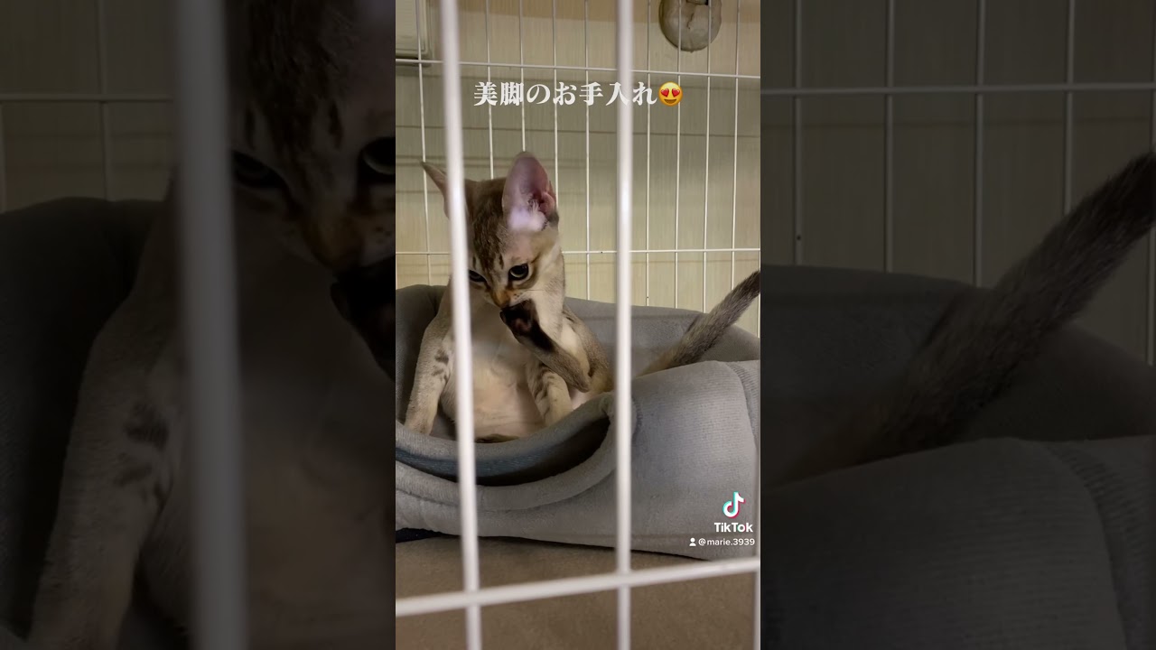 男の子でも美脚のお手入れします！【シンガプーラ】