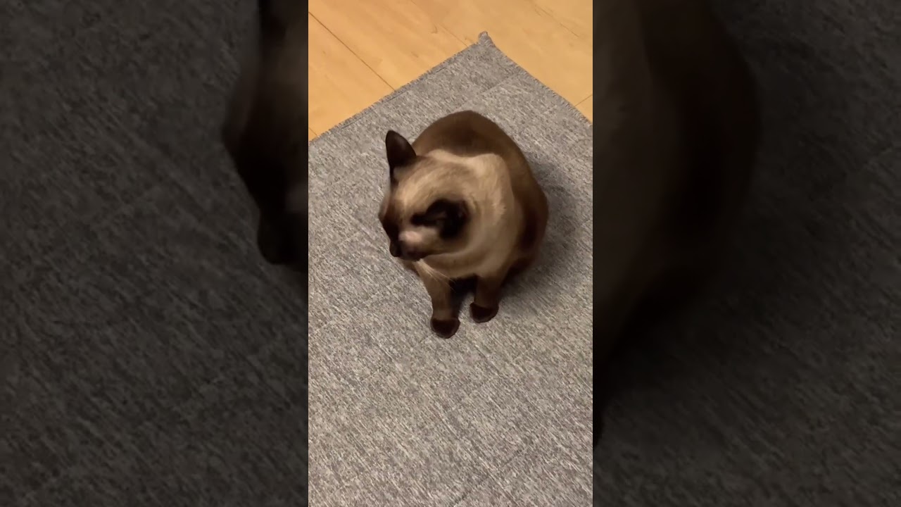 あざとい上目遣い