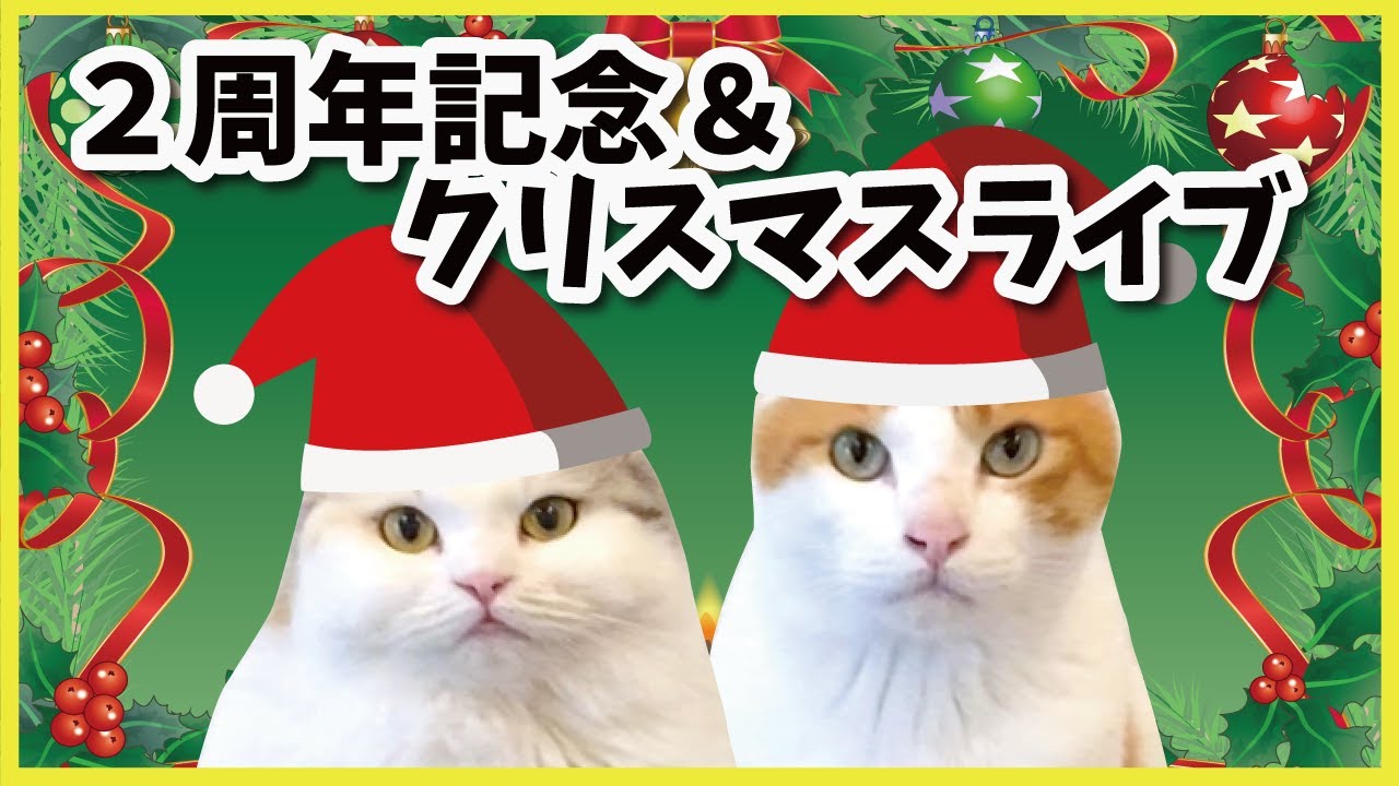 チャンネル開設2周年＆クリスマスパーティー生配信！【関西弁でしゃべる猫】