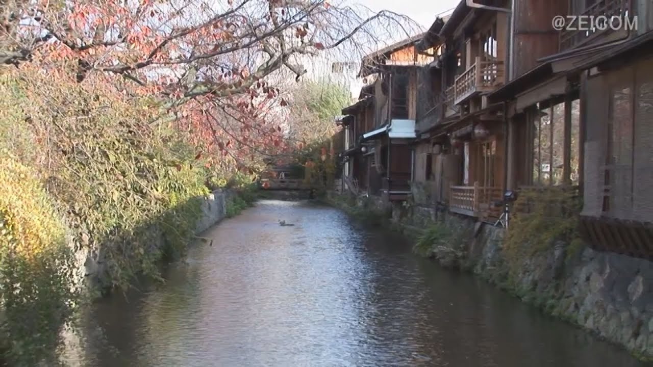 Japan Cat Trip, Kyoto-Day 2(2) / 日本猫旅,京都-2日目(2)