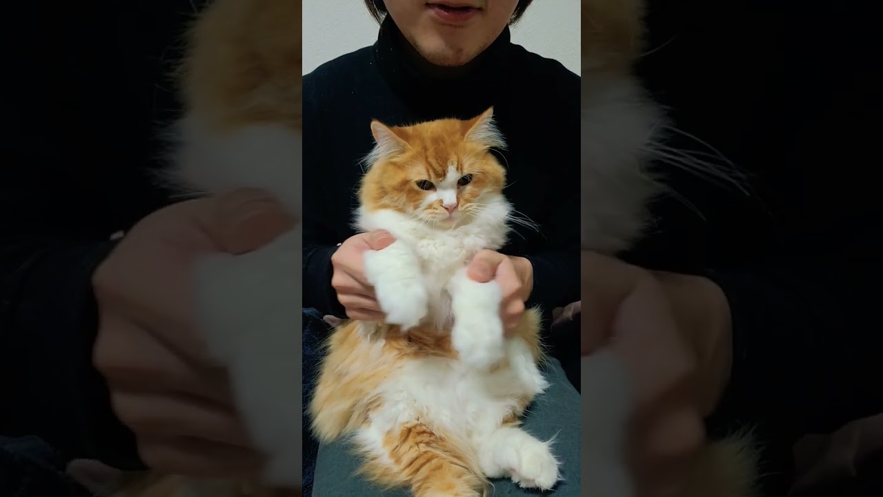 【ラガマフィン】wakawaka踊ってみた！