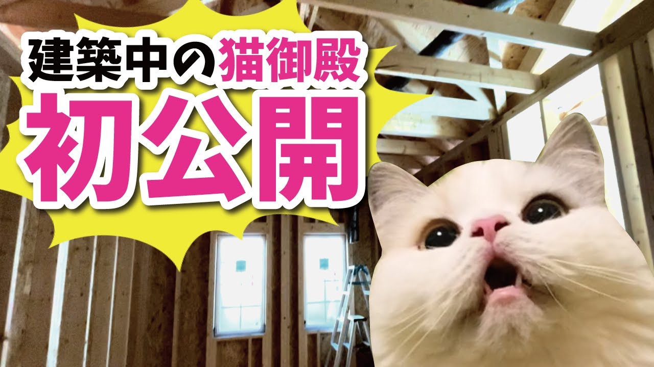 【初公開】建設中の新居の中身を特別に公開しちゃいます【関西弁でしゃべる猫】