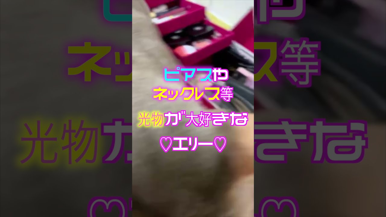 シンガプーラの女の子♡宝石探し♡