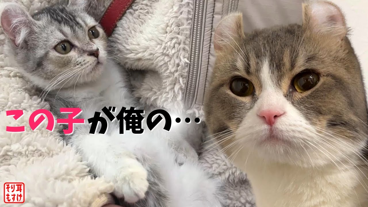 どんな赤ちゃんが産れるのか想像していたら…。まさかのご対面【妊娠５７日目】