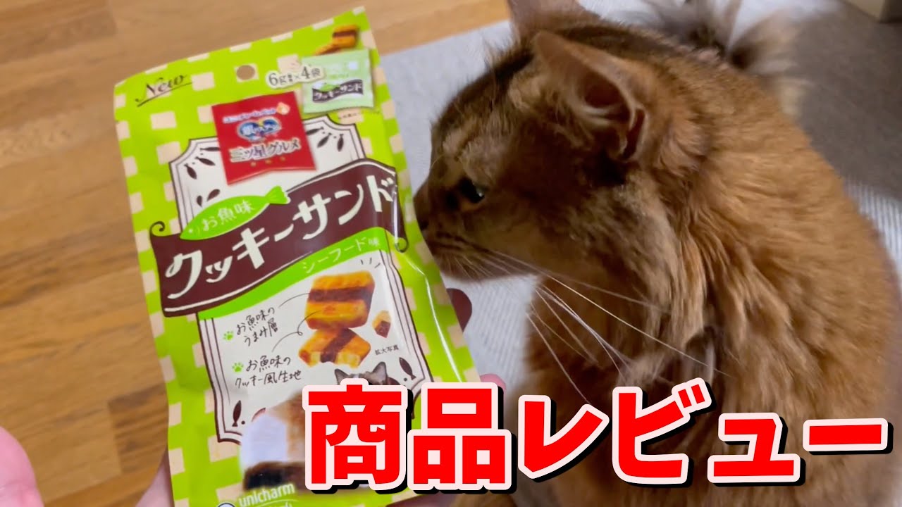 【レビュー】美味しそうなクッキーにやみつき！【ソマリ】