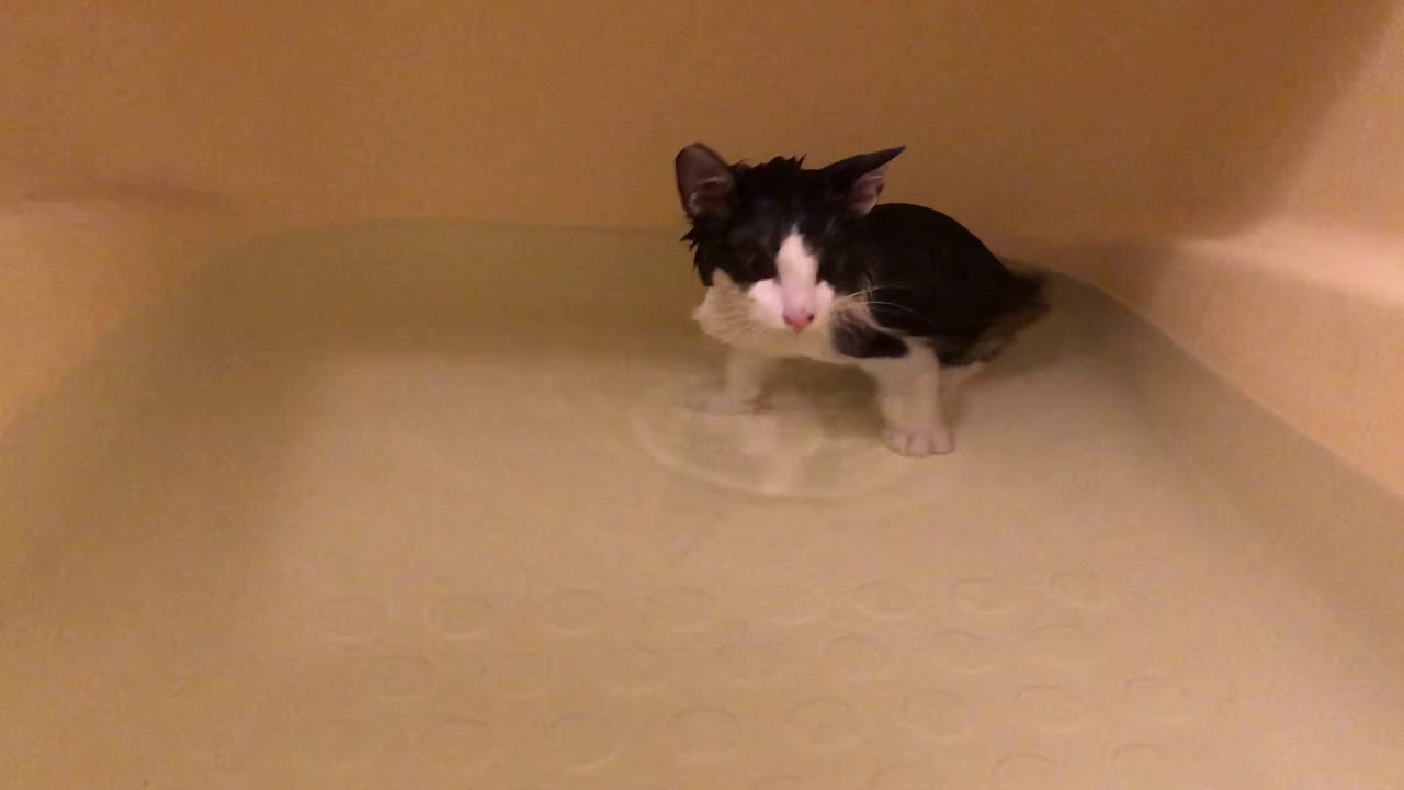 お風呂は結構好きな方です